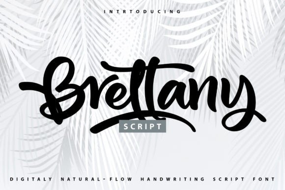 Brettany: A Font That Makes Campaign Messages Feel Human
