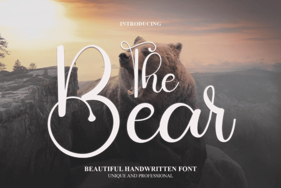 Choosing The Bear: An Elegant Typeface for Your Business Brand
