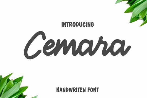 How a Simple Script Font Like Cemara Can Improve Your Business Brand