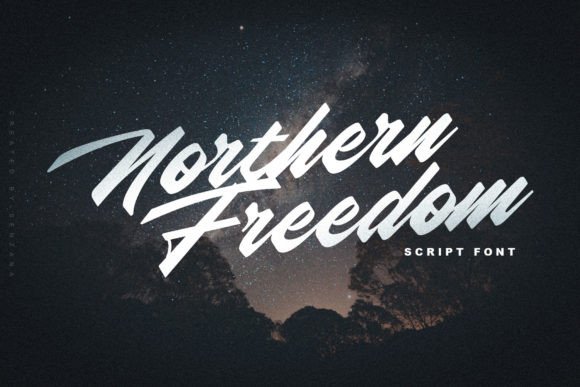 Northern Freedom: A Modern Script Font for Web Design