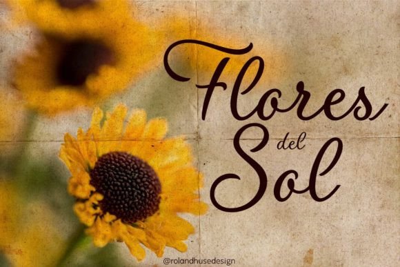 The Flores Del Sol Font for Business Branding