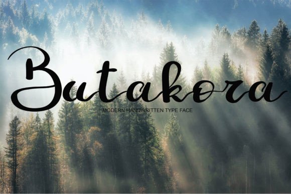 Why I Tested Butakora Font for My Latest Website Design